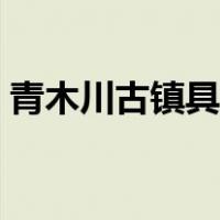 青木川古镇具体位置（青木川古镇游玩攻略）