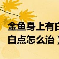 金鱼身上有白点怎么治用什么药（金鱼身上有白点怎么治）