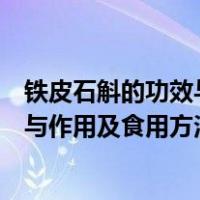 铁皮石斛的功效与作用及食用方法和禁忌（铁皮石斛的功效与作用及食用方法）