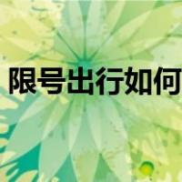 限号出行如何处罚北京（限号出行如何处罚）