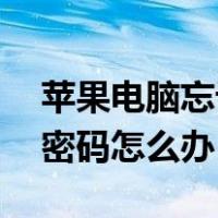 苹果电脑忘记开机密码怎么办（xp忘记开机密码怎么办）