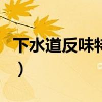 下水道反味特别严重是什么原因（下水道反味）