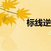 标线逆反射系数测试仪（标线）