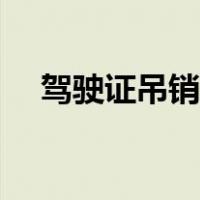 驾驶证吊销查询方法（驾驶证吊销查询）