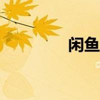 闲鱼租房端口（闲鱼租房）