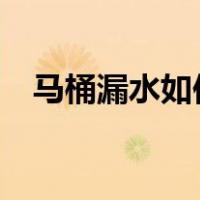 马桶漏水如何修理?（马桶漏水如何修理）