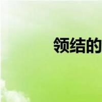 领结的打法教程（领结的打法）