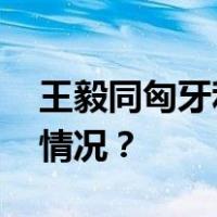 王毅同匈牙利外长西雅尔多通电话 这是什么情况？