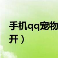 手机qq宠物怎么打开（手机qq宠物在哪里打开）