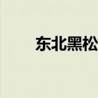 东北黑松露怎么吃（黑松露怎么吃）