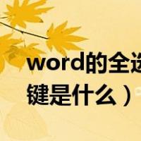 word的全选快捷键是什么（word全选快捷键是什么）