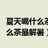 夏天喝什么茶最解暑凉茶还是热茶（夏天喝什么茶最解暑）