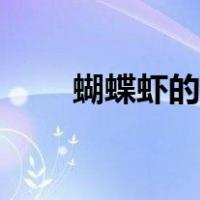 蝴蝶虾的做法窍门（蝴蝶虾的做法）