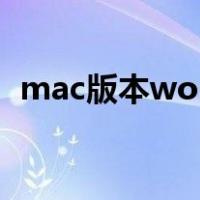 mac版本word查找功能（word查找功能）