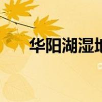华阳湖湿地公园门票多少钱（华阳湖）