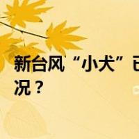 新台风“小犬”已生成！浙江今日局地短时暴雨 这是什么情况？
