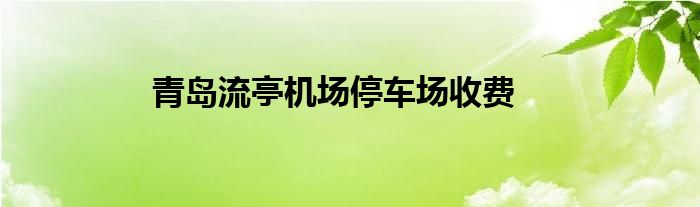 青岛流亭机场停车场收费