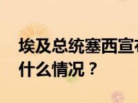 埃及总统塞西宣布参加新一届总统选举 这是什么情况？