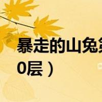 暴走的山兔第十层怎么过（暴走的山兔攻略10层）