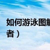如何游泳图解初学者视频（如何游泳图解初学者）