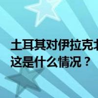 土耳其对伊拉克北部库尔德工人党武装目标进行新一轮空袭 这是什么情况？