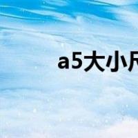 a5大小尺寸是多少厘米（a5大小）