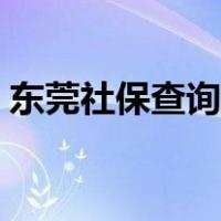 东莞社保查询平台（东莞12333社保查询网）