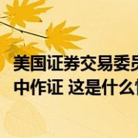 美国证券交易委员会要求马斯克在其2022年收购推特的调查中作证 这是什么情况？