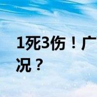 1死3伤！广西百色一直升机坠毁 这是什么情况？