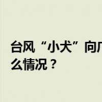台风“小犬”向广东西部到海南岛东部一带沿海靠近 这是什么情况？