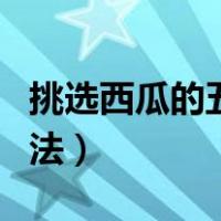 挑选西瓜的五种方法视频（挑选西瓜的五种方法）