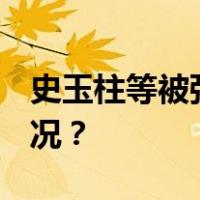 史玉柱等被强制执行​17.65亿元 这是什么情况？