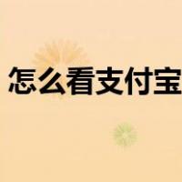 怎么看支付宝大数据（支付宝怎么查大数据）
