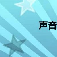 声音锁有什么用（声音锁）
