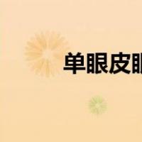 单眼皮眼影怎么画（单眼皮眼影）