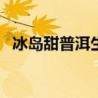 冰岛甜普洱生茶怎么泡（普洱生茶怎么泡）