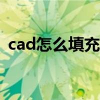 cad怎么填充某个区域图案（cad怎么填充）