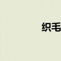 织毛线围巾教程（织毛线）