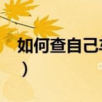 如何查自己车辆违章?（如何查自己车辆违章）