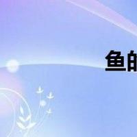 鱼的记忆有多久（鱼的）