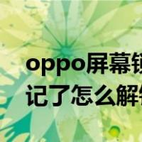 oppo屏幕锁忘记了怎么办（oppo屏幕锁忘记了怎么解锁）