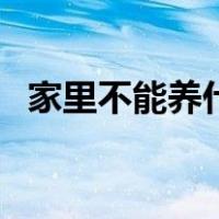 家里不能养什么花草（家里不能养什么花）