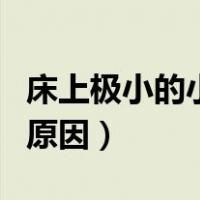 床上极小的小红蚂蚁咬人（家里有小红蚂蚁的原因）