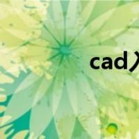 cad入门简单图（cad入门）
