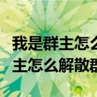 我是群主怎么解散群还有聊天记录吗（我是群主怎么解散群）