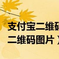 支付宝二维码图片怎么保存在相册里（支付宝二维码图片）