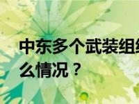 中东多个武装组织发声支持巴勒斯坦 这是什么情况？