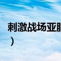 刺激战场亚服下载包（刺激战场亚服在哪下载）