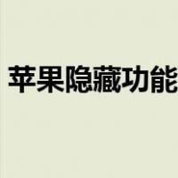 苹果隐藏功能在哪里找出来（苹果隐藏功能）