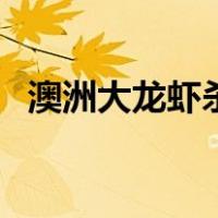 澳洲大龙虾杀法（澳洲大龙虾怎么杀图解）